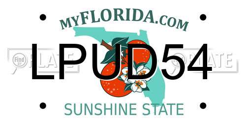 LPUD54 Florida License Plate