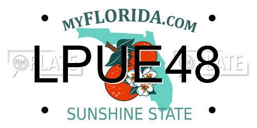 LPUE48 Florida License Plate
