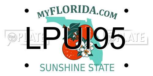 LPUI95 Florida License Plate