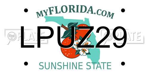 LPUZ29 Florida License Plate