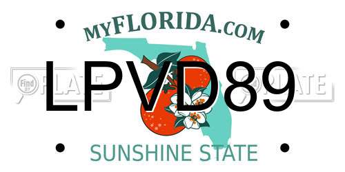 LPVD89 Florida License Plate
