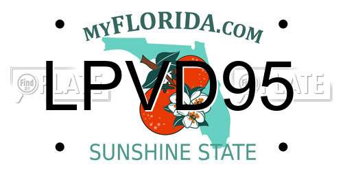 LPVD95 Florida License Plate