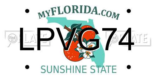 LPVG74 Florida License Plate