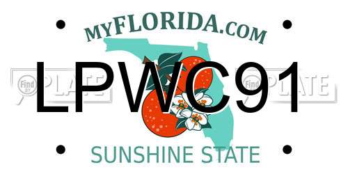 LPWC91 Florida License Plate