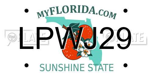 LPWJ29 Florida License Plate