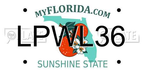 LPWL36 Florida License Plate