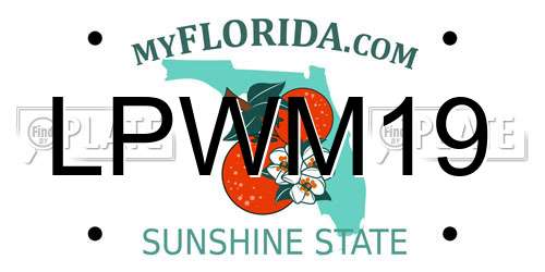 LPWM19 Florida License Plate