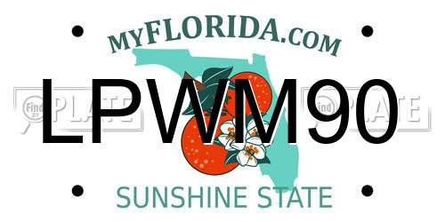 LPWM90 Florida License Plate