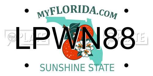 LPWN88 Florida License Plate