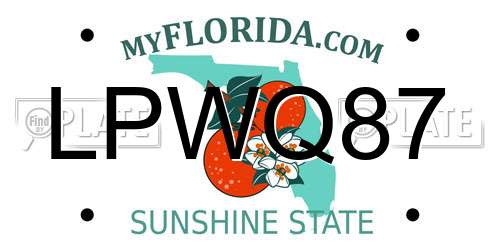 LPWQ87 Florida License Plate