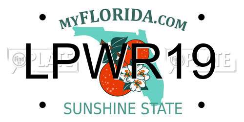 LPWR19 Florida License Plate