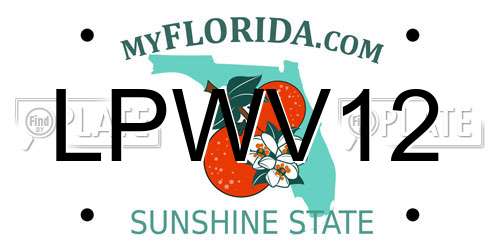 LPWV12 Florida License Plate