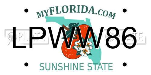 LPWW86 Florida License Plate