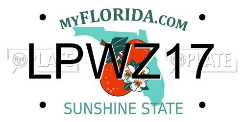 LPWZ17 Florida License Plate