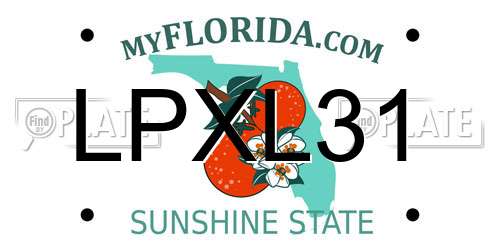 LPXL31 Florida License Plate