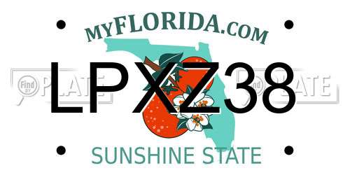 LPXZ38 Florida License Plate