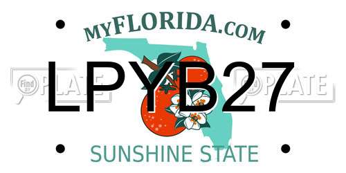 LPYB27 Florida License Plate