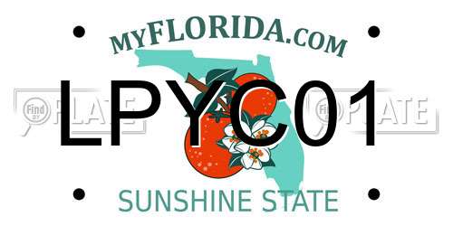 LPYC01 Florida License Plate