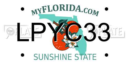 LPYC33 Florida License Plate