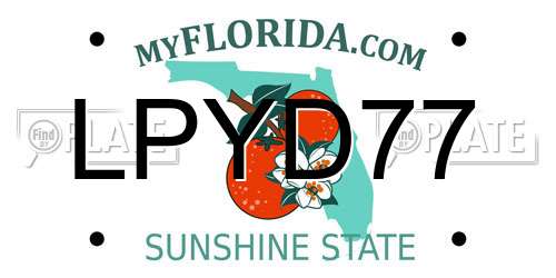 LPYD77 Florida License Plate