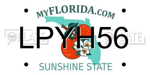 LPYH56 Florida License Plate