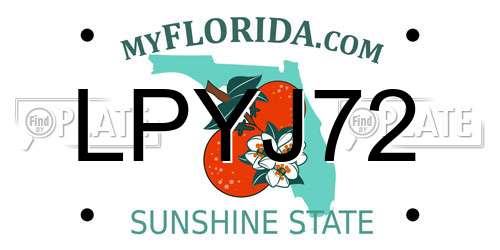 LPYJ72 Florida License Plate