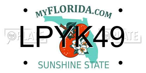 LPYK49 Florida License Plate