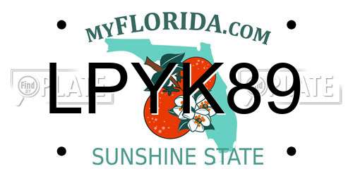 LPYK89 Florida License Plate