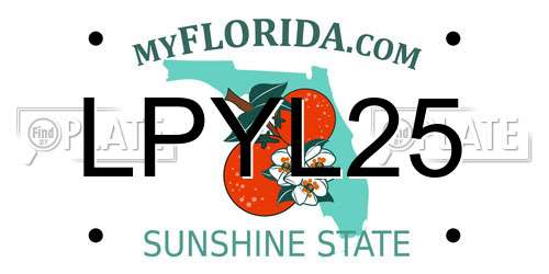 LPYL25 Florida License Plate