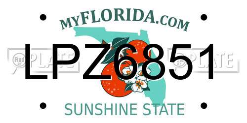 LPZ6851 Florida License Plate