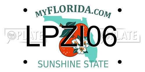 LPZI06 Florida License Plate