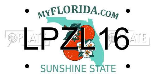 LPZL16 Florida License Plate