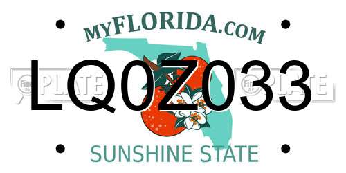 LQ0Z033 Florida License Plate