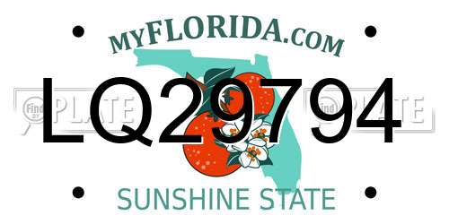 LQ29794 Florida License Plate