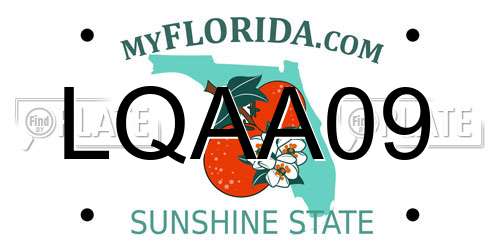 LQAA09 Florida License Plate