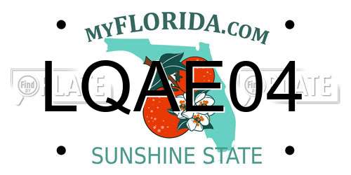 LQAE04 Florida License Plate