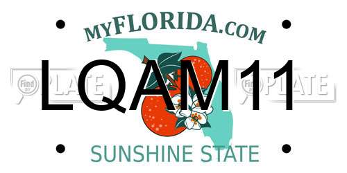 LQAM11 Florida License Plate