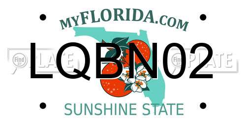 LQBN02 Florida License Plate