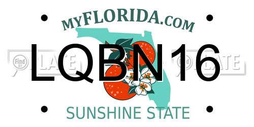 LQBN16 Florida License Plate