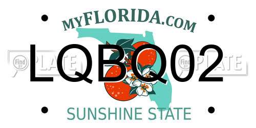 LQBQ02 Florida License Plate