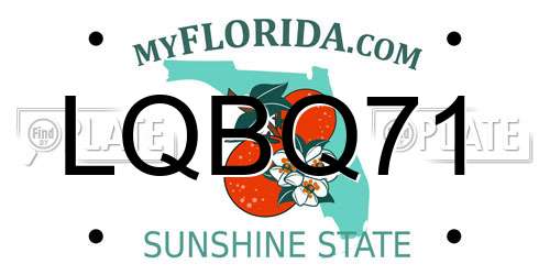 LQBQ71 Florida License Plate