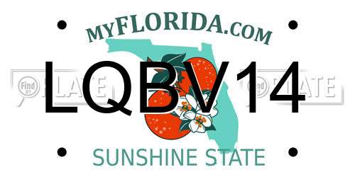 LQBV14 Florida License Plate