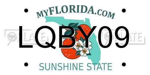 LQBY09 Florida License Plate