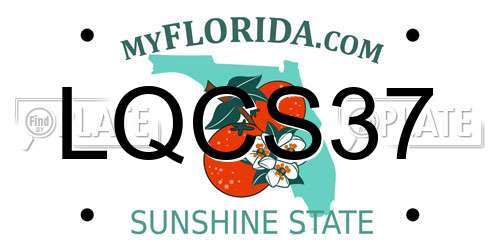 LQCS37 Florida License Plate