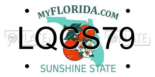 LQCS79 Florida License Plate