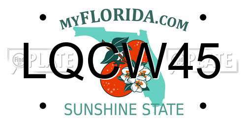 LQCW45 Florida License Plate