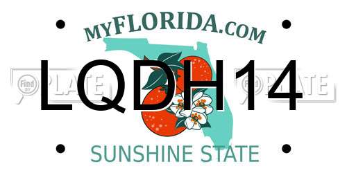 LQDH14 Florida License Plate