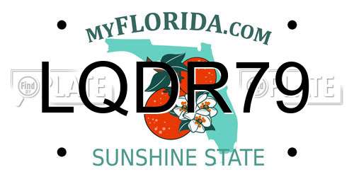 LQDR79 Florida License Plate