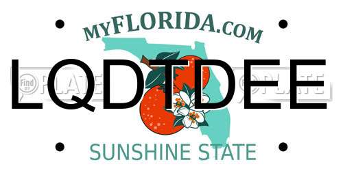 LQDTDEE Florida License Plate