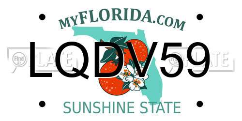 LQDV59 Florida License Plate